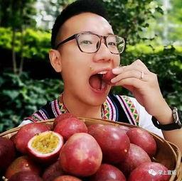 网红吃云南小瓜,舌尖上的美味之旅