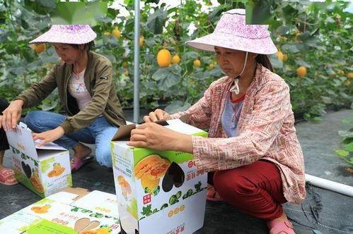 吃瓜逛街的网红有哪些人,吃瓜逛街的明星面孔与他们的多彩人生